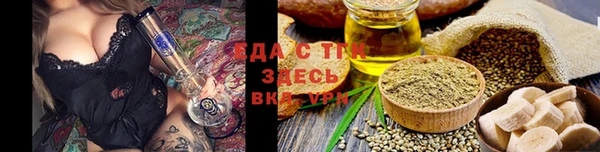 прущие грибы Гусев