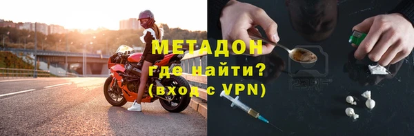 прущие грибы Гусев