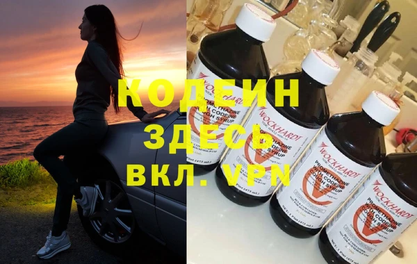 прущие грибы Гусев