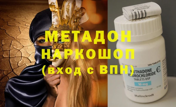 прущие грибы Гусев