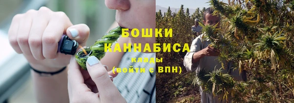 прущие грибы Гусев