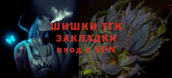 PSILOCYBIN Гусь-Хрустальный