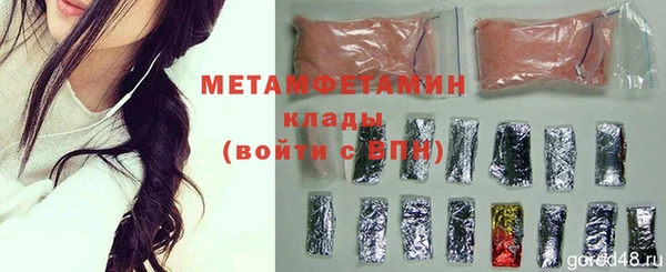 прущие грибы Гусев