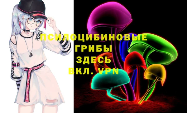 прущие грибы Гусев